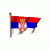 Vozd's Photo